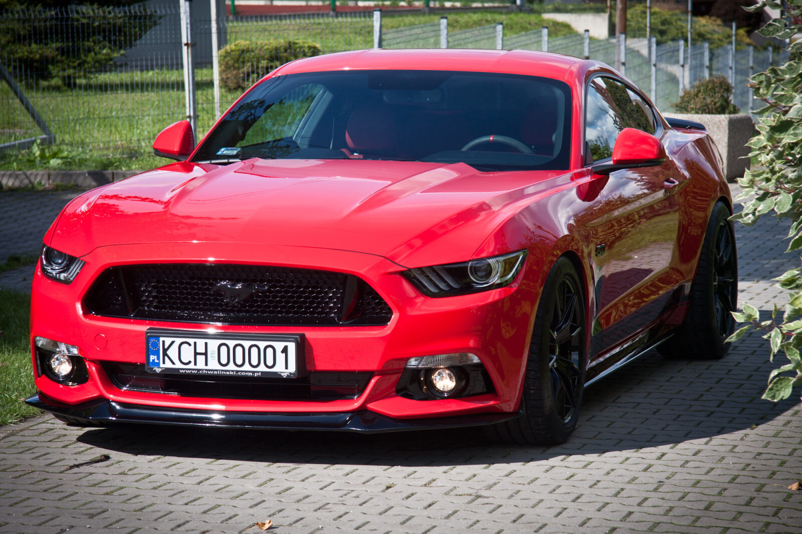 Mustang 5.0 po korekcie lakieru i Folią PPF