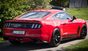 Mustang Supercharged 5.0 z tyłu z folią PPF